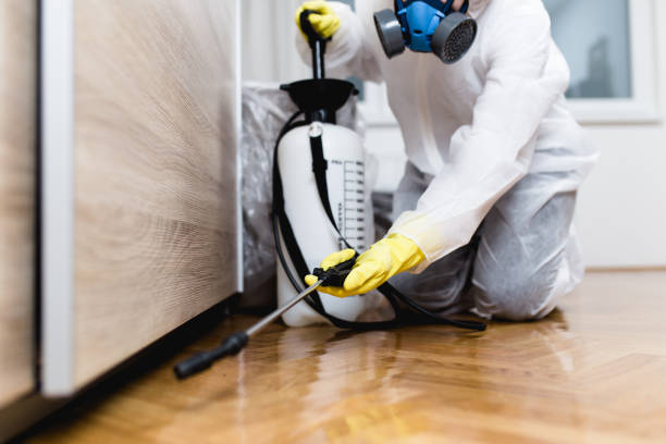 Best Flea Control Services  in Chase, PA