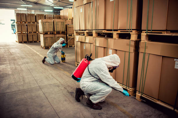 Best Mosquito Control Services  in Chase, PA