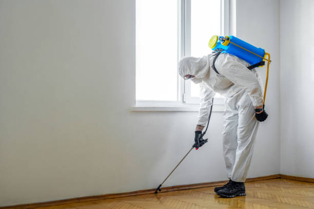 Best Cockroach Control Services  in Chase, PA