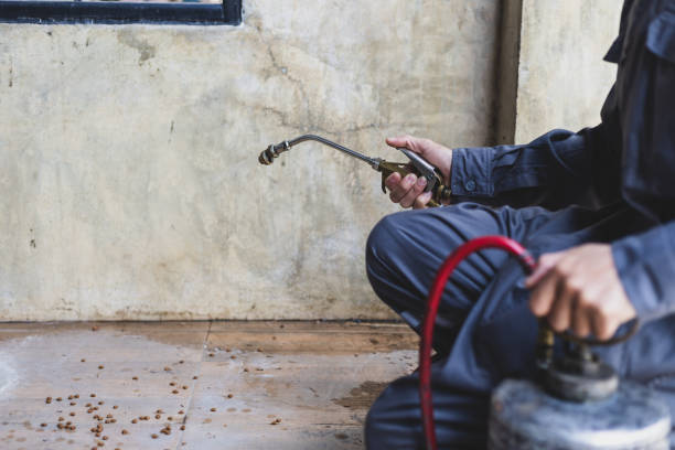 Best Residential Pest Control  in Chase, PA