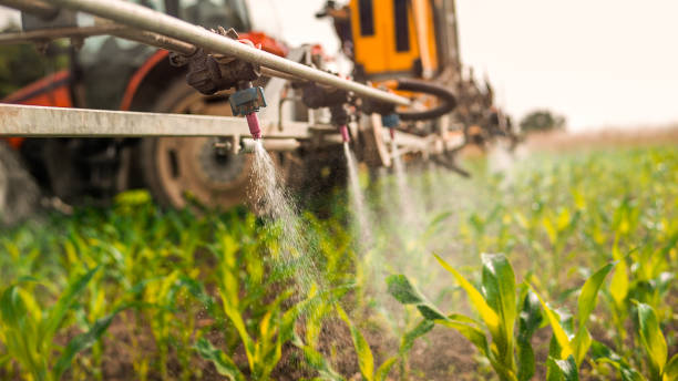 Best Ant Control Services  in Chase, PA